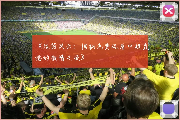 《绿茵风云：揭秘免费观看中超直播的激情之夜》